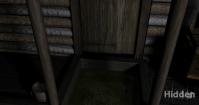 Hidden
