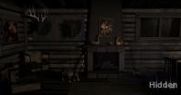 Hidden