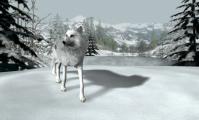 Nancy Drew 16: The White Wolf of Icicle Creek