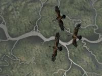Haz click en la imagen para agrandarla Amerzone : The Explorer's Legacy
