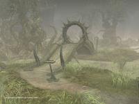 The Sacred Rings
