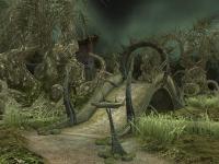 The Sacred Rings