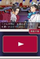 Perfect Prosecutor